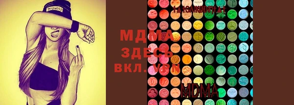 дживик Богородск