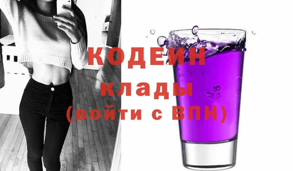 spice Богородицк
