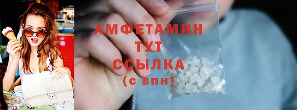 spice Богородицк