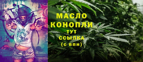 spice Богородицк