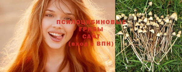 дживик Богородск