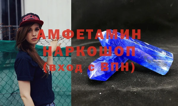 spice Богородицк
