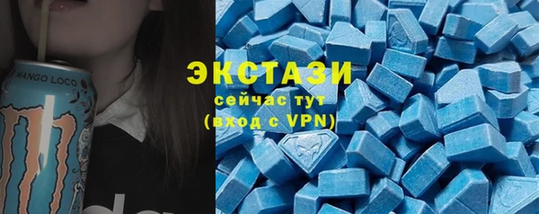 spice Богородицк