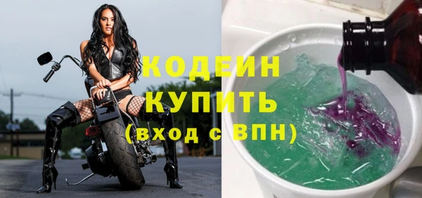 дживик Богородск